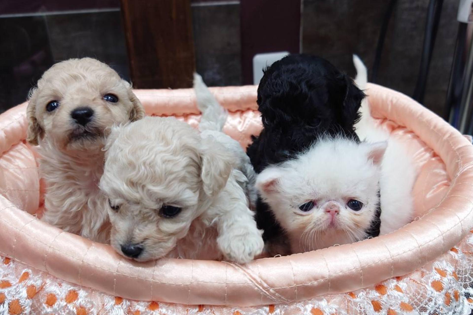 TOPスライド画像3