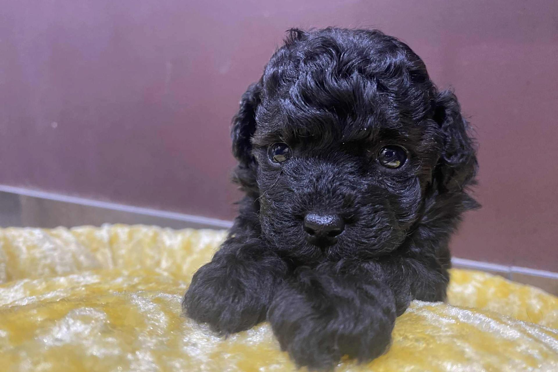 TOPスライド画像2